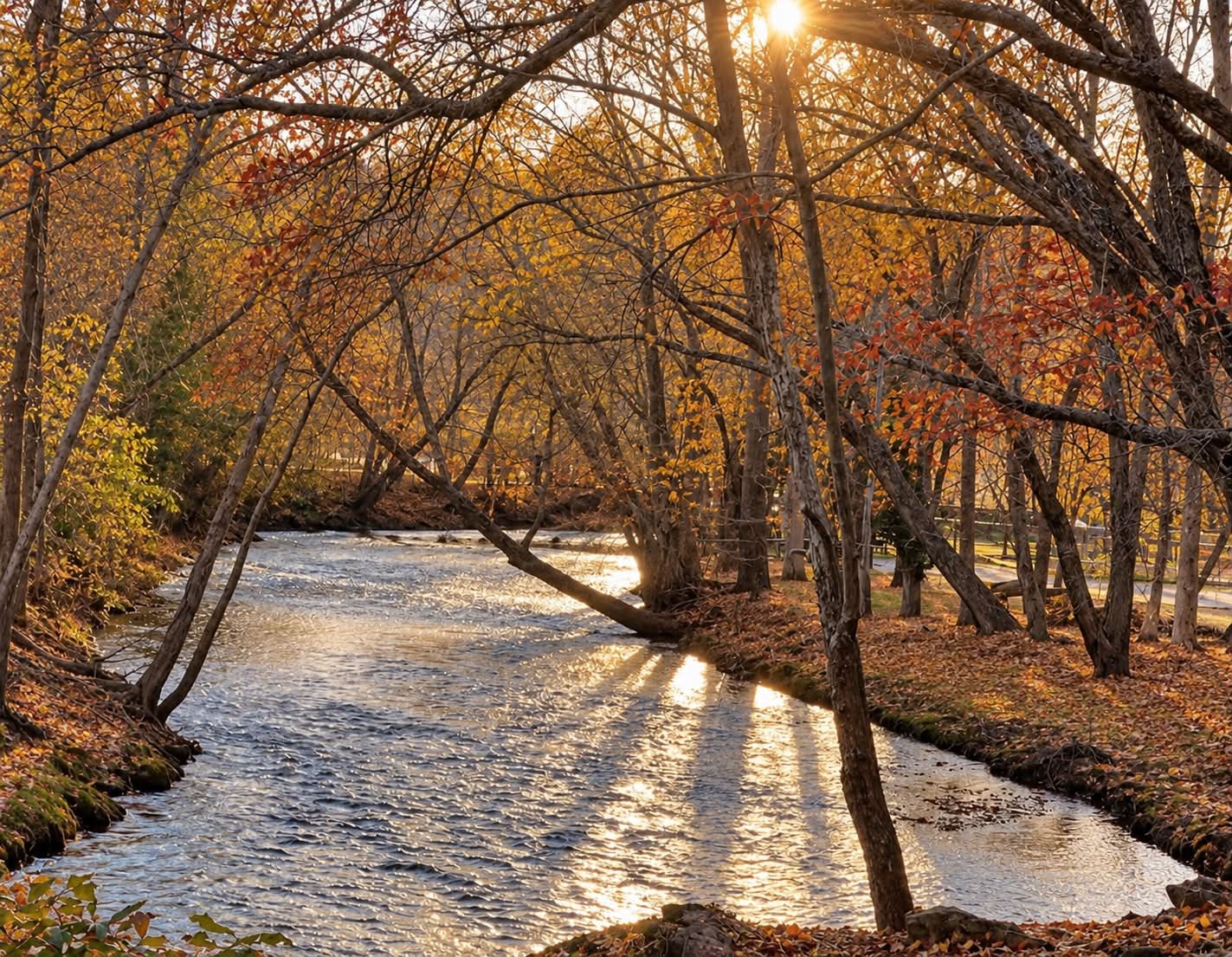 Autumn trees along the Chattahoochee River at Helen Riverhaus